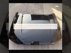 High-quality original disassembled parts for the front hood of H-a-val Dargo