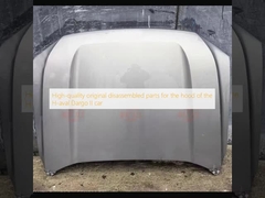 High-quality original disassembled parts for the hood of the H-aval Dargo II car