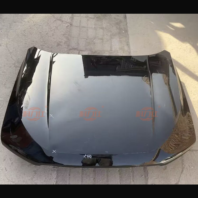 High-quality original disassembled parts for the front hood of H-a-val Dargo