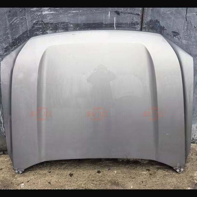 High-quality original disassembled parts for the hood of the H-aval Dargo II car